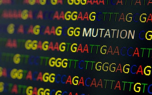 Virus COVID-19: Tỷ lệ đột biến cao hơn ít nhất 50% so với ước tính